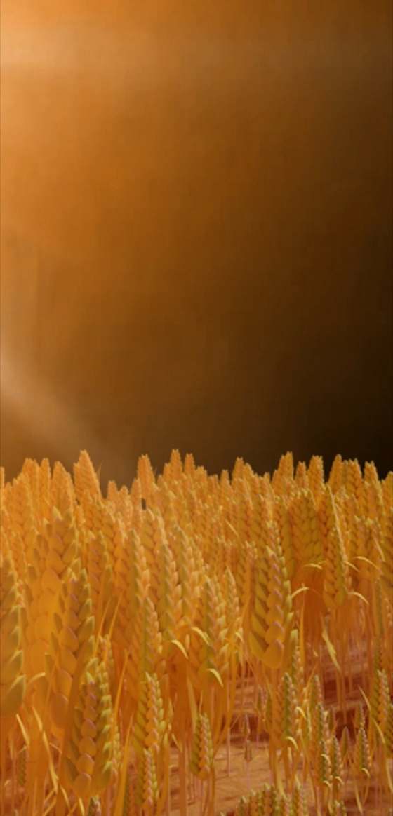 Farm Life